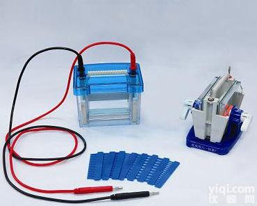 <em>电泳槽</em>DYCZ-24DN迷你双垂直<em>电泳槽</em>价格 生产<em>厂家</em>