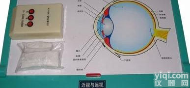 <em>近视</em>远视演示器，<em>近视</em>与远视