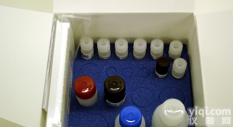 人<em>白介素</em>2<em>受体</em>(IL-2R)elisa<em>试剂盒</em>价格