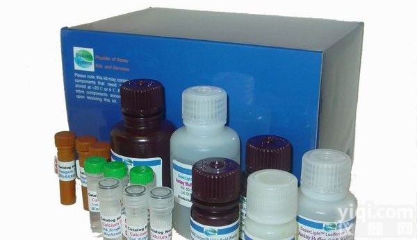 人<em>HVAelisa</em><em>试剂盒</em>价格