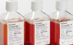 北京现价SV30087.02<em>南美</em>胎牛<em>血清</em>Hyclone500ml<em>现货</em>促销