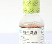 <em>现货供应</em>无噬菌体、低<em>内毒素</em>优级胎牛血清四季青100ml免费供应