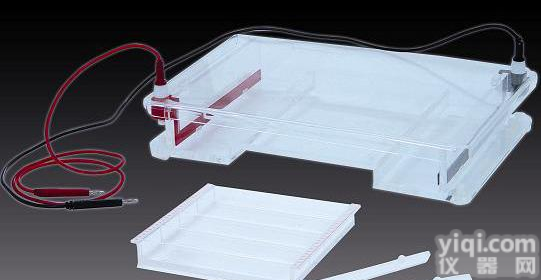 <em>琼脂</em>糖水平<em>电泳仪</em> DNA<em>琼脂</em>糖水平<em>电泳仪</em> 大号<em>琼脂</em>糖水平<em>电泳仪</em><em>电泳仪</em>