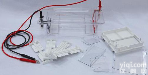 <em>琼脂</em>糖水平<em>电泳</em>仪 DNA<em>琼脂</em>糖水平<em>电泳</em>仪 耐高温<em>电泳</em>仪