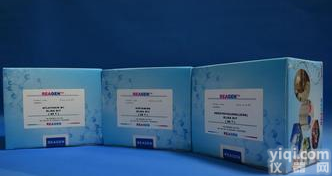 <em>小鼠</em><em>肥大</em>/干<em>细胞</em>生长因子受体(试剂盒/Sl/CD117)酶联免疫分析试剂盒