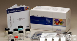 谷氨酸脱羧酶自身 抗体<em>放射</em>配基试验 (GAD65-Ab)<em>放免</em><em>试剂盒</em>检测服务