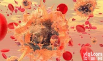 NRK-52E，大鼠<em>肾小管</em>导管<em>上皮</em>细胞