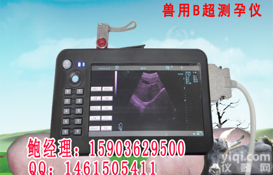 <em>便携式</em>彩色<em>动物</em>B超测孕仪直销报价