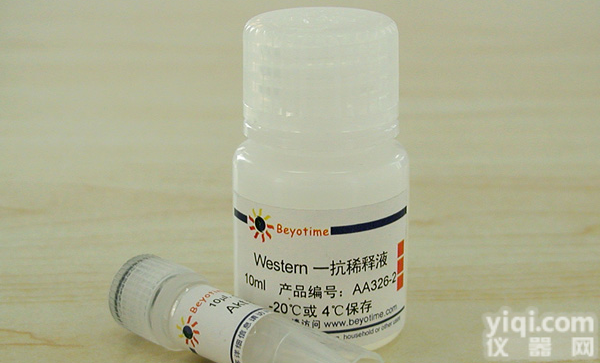 <em>鼻咽癌</em>相关<em>转录</em>调节<em>蛋白</em>抗体