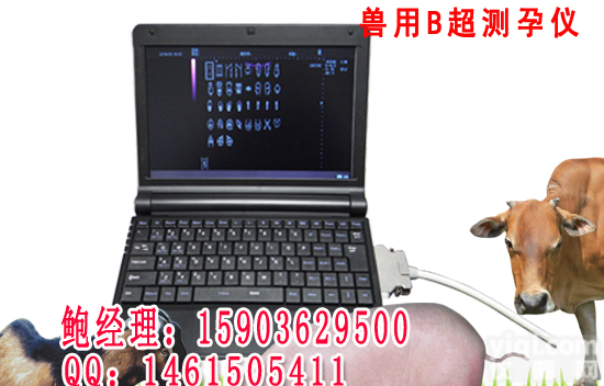 彩色<em>动物</em><em>宠物</em>专用B超报价