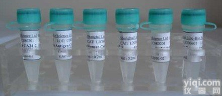 <em>白细胞</em>抗原<em>抗体</em>B相关转录蛋白5<em>抗体</em>