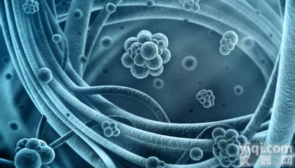 人<em>前列腺癌</em><em>组织</em>源细胞