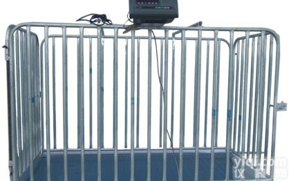 带<em>围栏</em><em>动物</em>秤带<em>围栏</em><em>动物</em>秤，<em>围栏</em>秤3吨