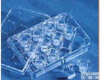 美国Corning  Transwell板<em>3413</em> <em>3422</em> 3415 3460 3450 3470