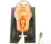 北信Pai 环甲膜<em>穿刺</em>和<em>切开</em>训练<em>模型</em>