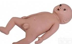 北信Pai 医学<em>模型</em>/婴儿护理<em>模型</em>/婴儿动脉<em>注射</em><em>模型</em>