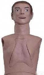 北信Pai <em>鼻饲</em>管<em>气管</em><em>护理模型</em>/鼻胃管<em>气管</em>/成人<em>气管</em>切开