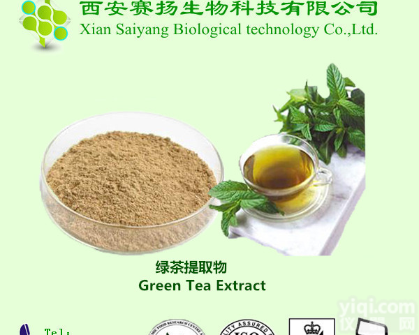  绿茶<em>提取物</em> 多酚/<em>儿茶素</em> / EGCG