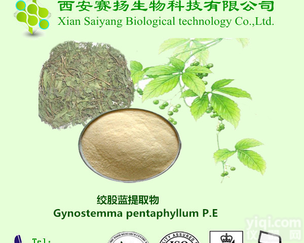 <em>赛扬</em>厂家常年<em>现货供应</em> 绞股蓝提取物 绞股蓝皂甙 98% 80% （量大优惠）