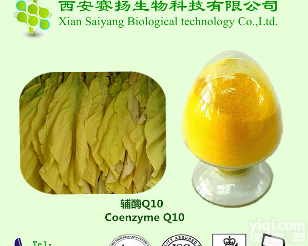 赛扬厂家现货供应  脂溶性 辅酶Q10 98%  <em>抗氧化</em>  <em>化妆品</em>原料 质量保证