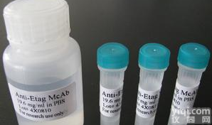 <em>磷酸化</em>离子型<em>谷氨酸</em>受体4抗体