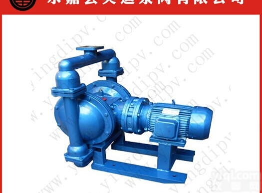 DBY不锈钢电动<em>隔膜泵</em>/<em>耐腐蚀</em>电动<em>隔膜泵</em>/温州<em>隔膜泵</em>厂家