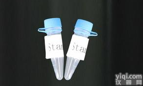 G蛋白偶联<em>受体</em>37/<em>帕金森</em>相关<em>内皮</em>素<em>受体</em>样<em>受体</em>抗体