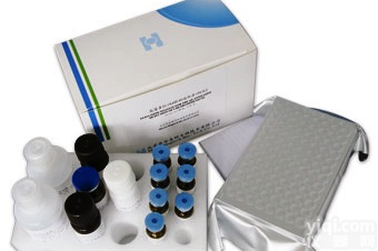 供应  <em>Amphotericin</em> B <em>solubilized</em>  可溶性两性霉素B 特价促销