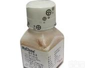 北京供应  胎牛<em>血清</em>   <em>北美</em>（原装）  Hyclone<em>血清</em> 进口报价