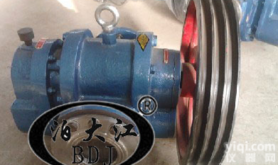 质量LC-38/0.6罗茨油泵 皮带<em>罗茨泵</em> 高<em>粘度</em><em>罗茨泵</em> 稠油泵