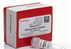 美国ABI RNaseOUT™ Recombinant Ribonuclease Inhibitor