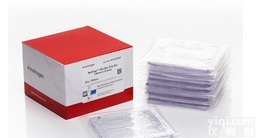 美国ABI NuPAGE® Novex <em>10</em>% Bis-Tris Gel 1.0 mm, <em>10</em> Well