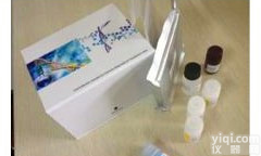 抗<em>凝血酶</em>受体<em>试剂盒</em>,小鼠抗<em>凝血酶</em>受体(ATR)ELISA<em>试剂盒</em>