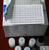 大鼠淋巴<em>细胞因子</em><em>酶联免疫</em>（<em>ELISA</em>）<em>试剂盒</em>