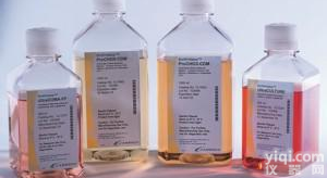 <em>羊抗大鼠（免疫血清）</em>