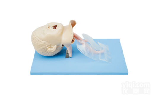 高级儿童<em>气管</em><em>插管</em>模型,<em>人体</em><em>气管</em><em>插管</em>训练模型