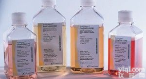 <em>酵母</em>氮源<em>琼脂</em> <em>酵母</em>窒素源<em>寒天</em>