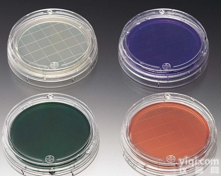 茜素-β-半<em>乳糖</em>苷<em>肉汤</em>（Aliz-gal<em>肉汤</em>）