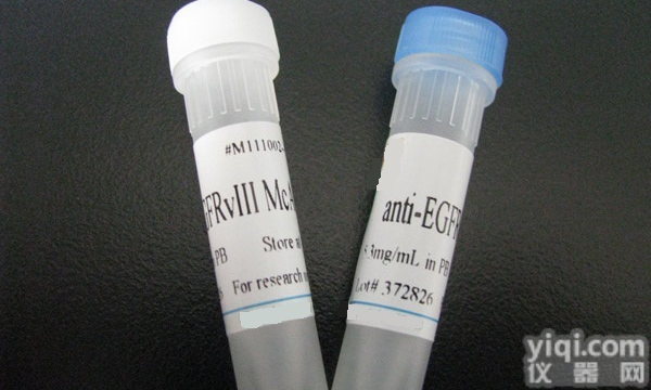 <em>小谷</em>氨酰胺<em>三角</em>四肽重复区蛋白α<em>抗体</em>