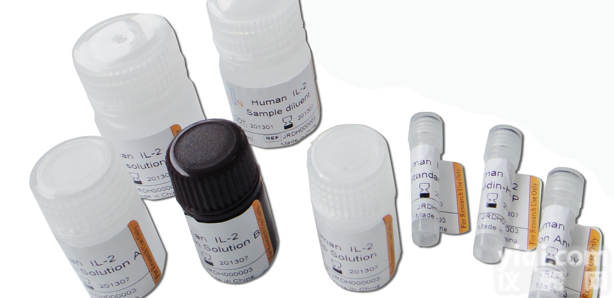 鞘氨醇激酶1抗体「<em>纯化</em>方法」<em>亲和</em><em>纯化</em>的蛋白