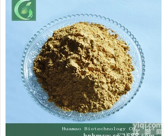 【厂家直销】<em>橄榄</em>叶提取<em>齐墩果</em>酸10%-90%