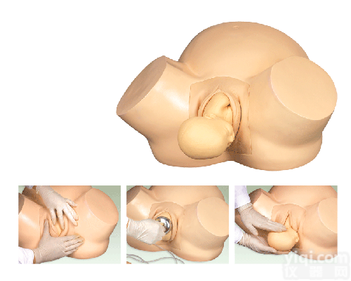 高级助产训练<em>模型</em>|孕妇检查<em>模型</em>|<em>妇科检查</em><em>模型</em>|助产<em>模型</em>