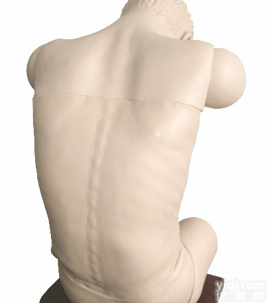 高级综合<em>穿刺</em>术技能训练模<em>拟人</em>，心肺复苏模<em>拟人</em>