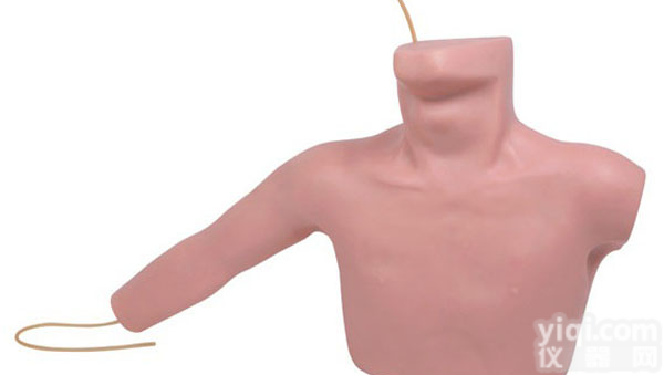 <em>外周穿刺、ZX静脉穿刺插管训练模型</em>