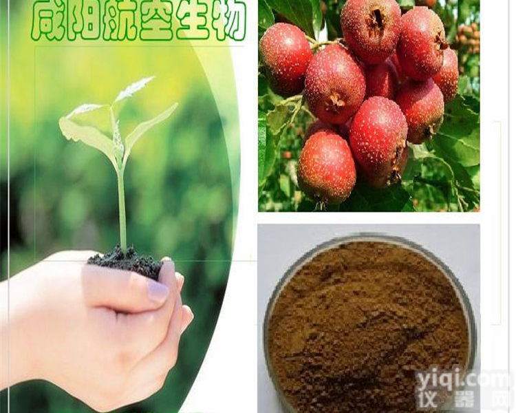 供应<em>山楂</em>提取物 <em>山楂</em>黄酮中药提取物 降血脂降血压<em>山楂</em>黄酮