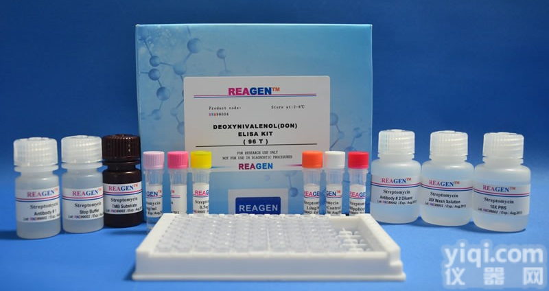 人促<em>甲状腺素</em>受体(TSHR)<em>抗体</em>ELISA检测试剂盒