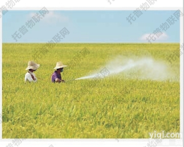 <em>托普</em>农业物<em>联网</em>之<em>托普</em>大田种植监控系统