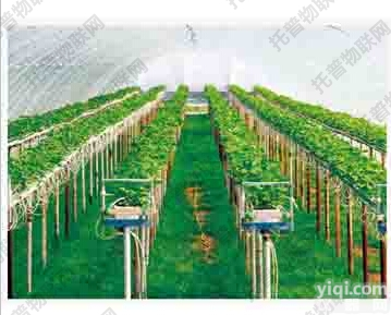<em>托普</em>农业物<em>联网</em>之<em>托普</em>温室种植监控系统