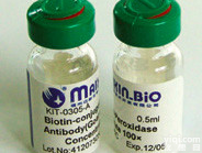 Angiotensin,<em>血管</em>紧张素II抗体