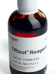 L-谷氨酸钾盐,L-谷氨酸钾盐单水合物,<em>6382-01-0</em>